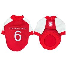 Product image of ძაღლის თბილი მაისური 9XL - ქოჩორაშვილი