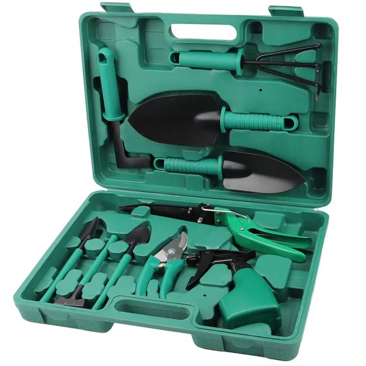 khelis-instrumentebis-nakrebi-baghistvis