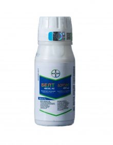 Product image of ბელტი