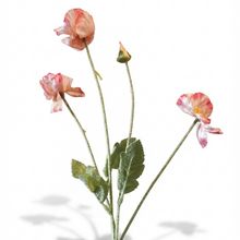 Product image of Eterna - ხელოვნური ყვავილი