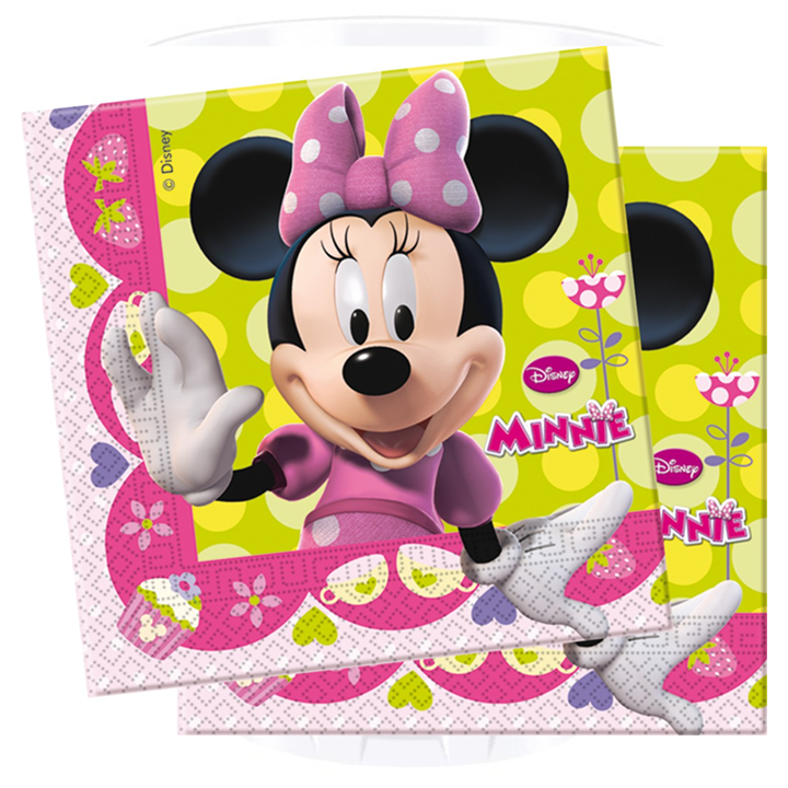 minnie-bow-tique-khelsakhotsi