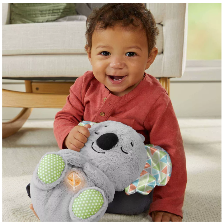 mattel-fisher-price-soothe-n-snuggle-koala-chvilis-satamasho-photo-4
