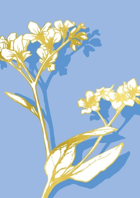 misalotsi-barati-walima