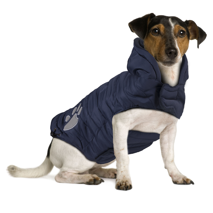 flamingo-dog-coat-paw-blue-55cm-dzaghlis-qurtuki-photo-2
