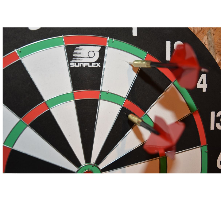 sunflex-dart-board-deluxe-46cm-dartsi-photo-2