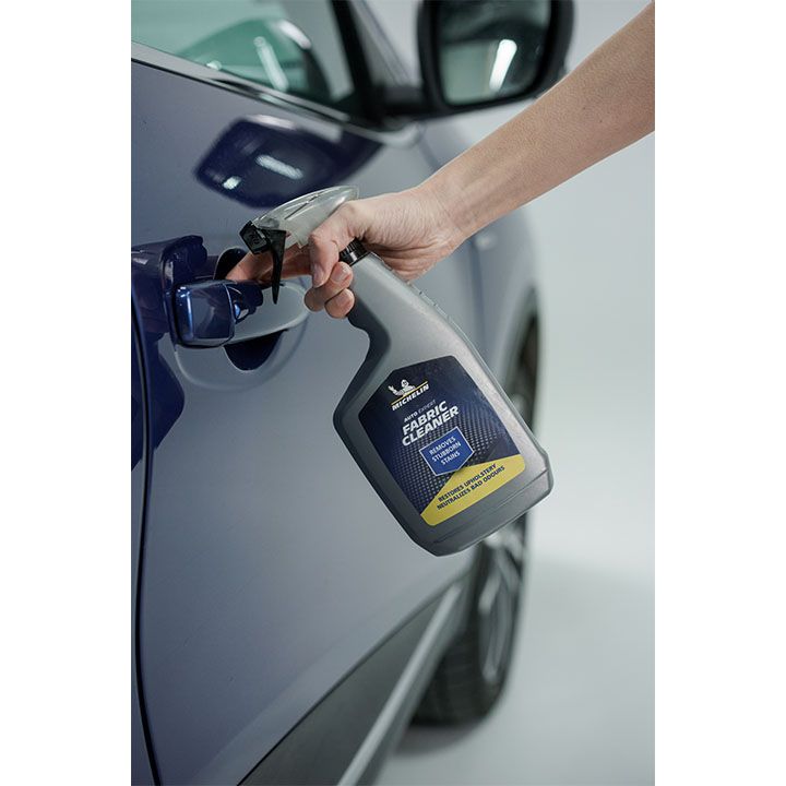 michelin-avtomobilis-panelisa-da-salonis-priala-satsmendi-photo-3