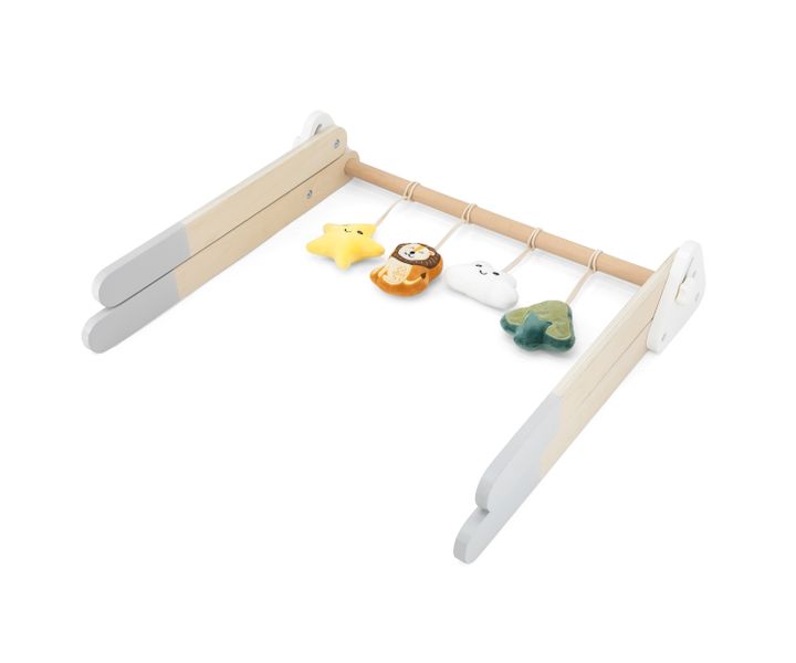 polar-b-khis-ganmavitarebeli-satamasho-photo-2