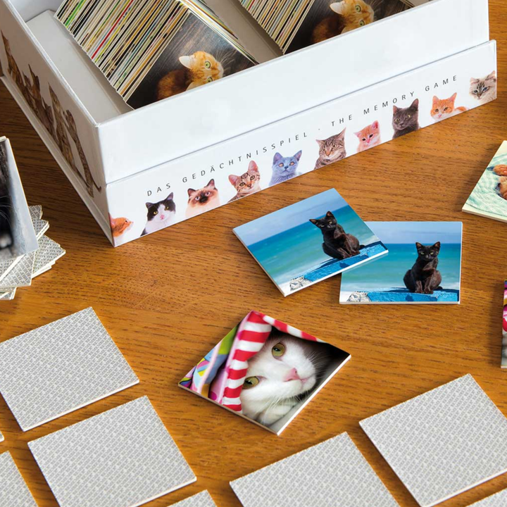 remember-samagido-tamashi---katebi-photo-2