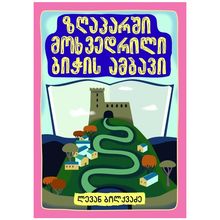 Product image of ლევან ბოლქვაძე - ზღაპარში მოხვედრილი ბიჭის ამბავი