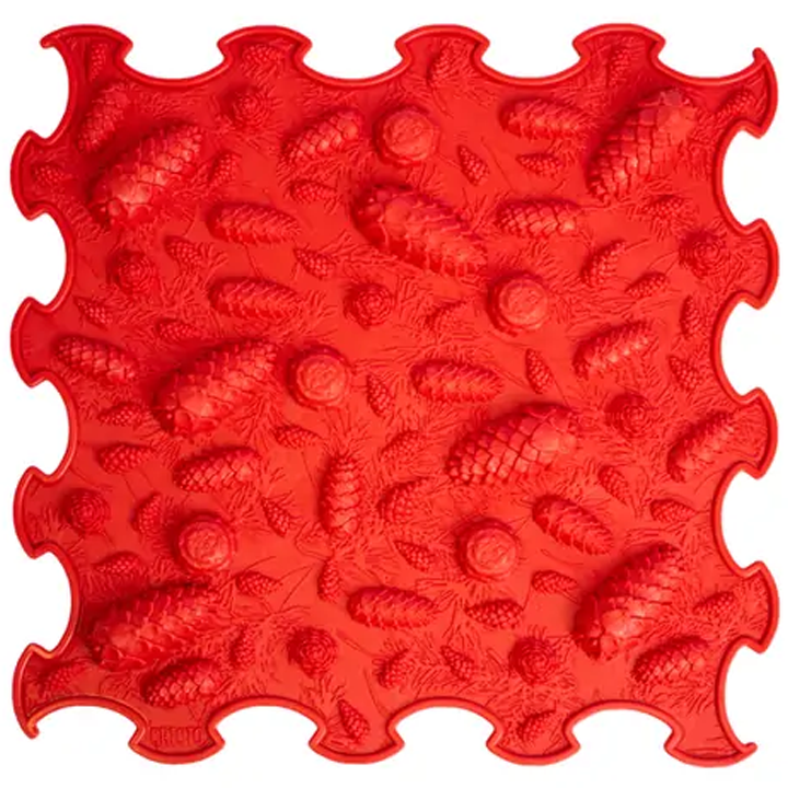 ortoto-pinecones-khalicha-fazli