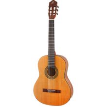 Product image of ORTEGA RSTC5M Classical guitar კლასიკური გიტარა