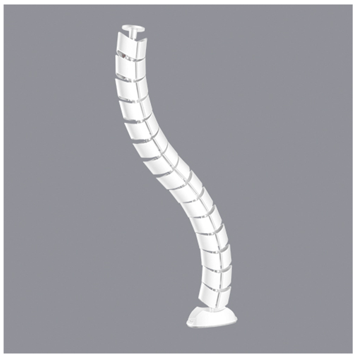 kabelebis-organizatori-photo-2