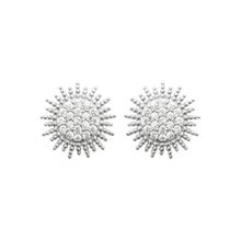 Product image of Earring / 1570310 ვერცხლისფერი ქალის საყურე 925 სინჯის ვერცხლი