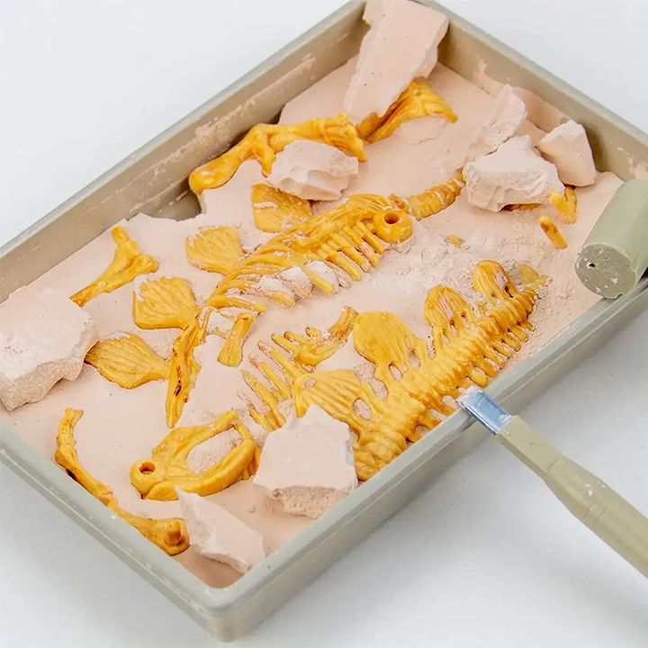 science4you-satamasho-dinozavris-namarkhi-photo-4