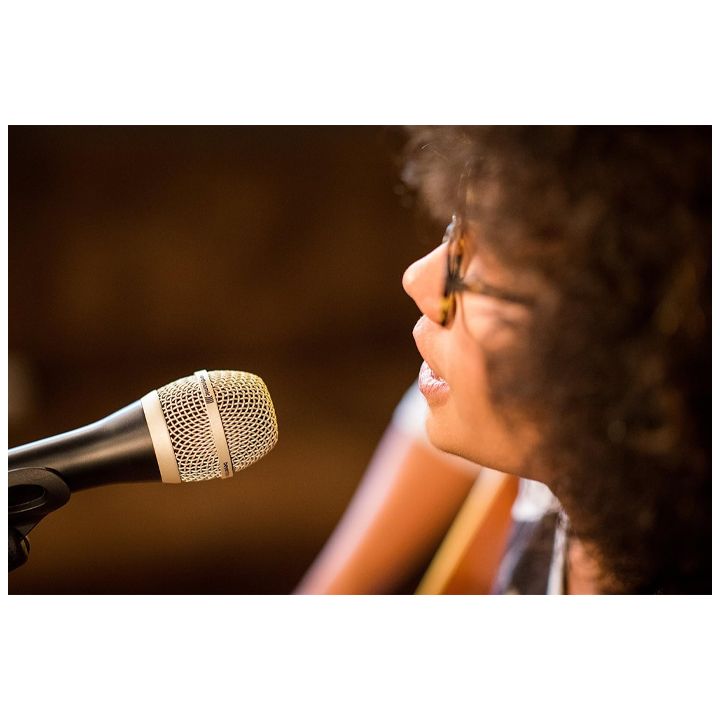 bayerdynamic-tg-v50-mikrofoni-photo-2