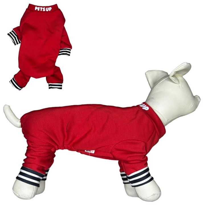 petsup-dzaghlis-katis-tansatsmeli