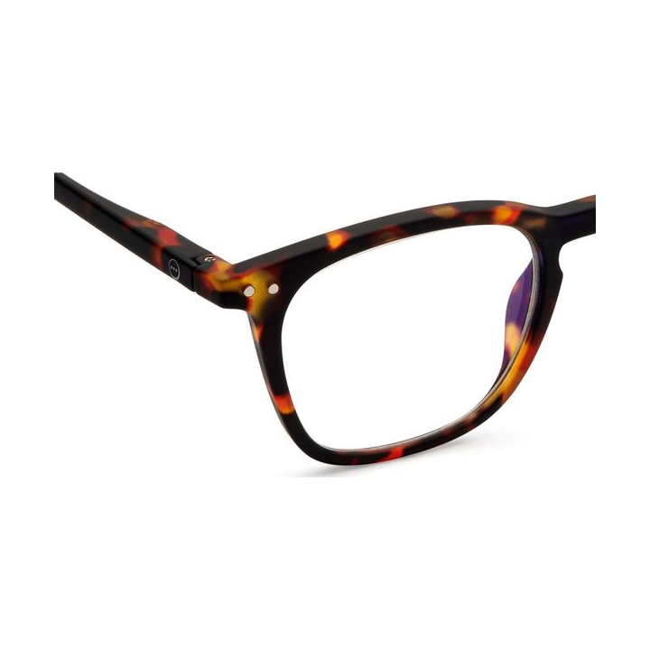 giggles-e-screen-tortoise-damtsavi-satvale-photo-3