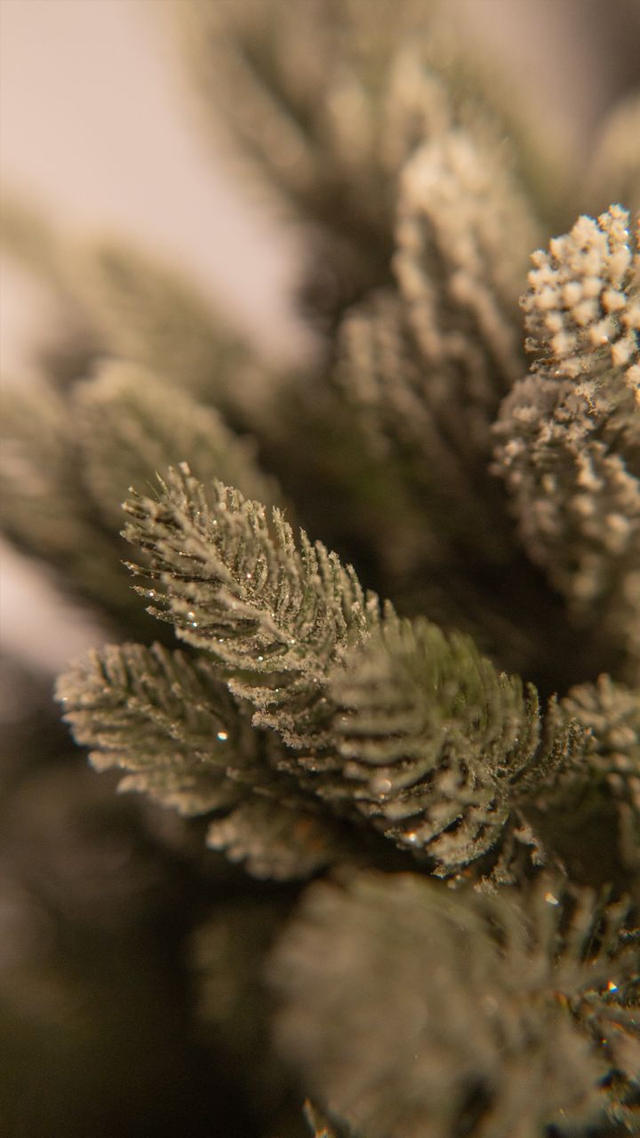 aqate-180sm-kristali---dizaineruli-nadzvis-khe-shako-da-ninosgan-photo-4