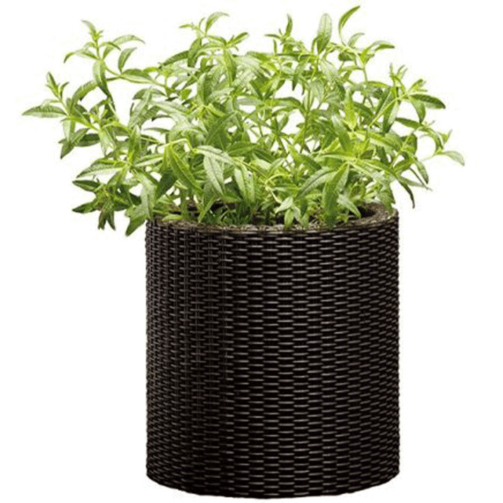 keter-cylinder-planters-7-l-plastmasis-qotani