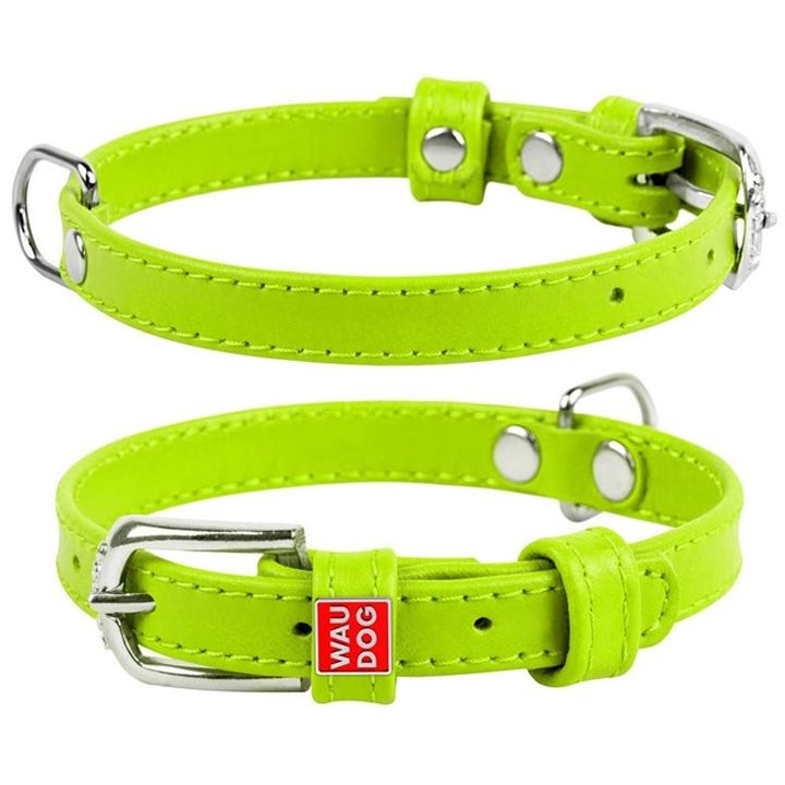 collar-dzaghlis-saqelo-photo-2