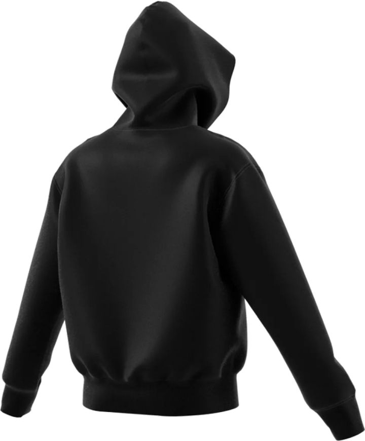adidas-adicolor-premium-gn3384-kapiushoniani-maisuri-photo-2
