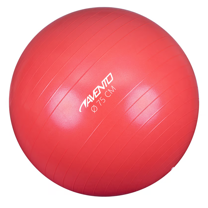 schreuderssport-fitnessgym-ball-75cm-fitnes-burti-fitnesis-burti