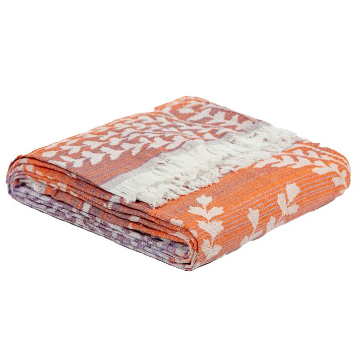 manamo-elisa-gadasafarebeli