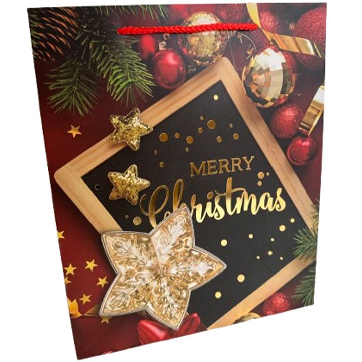 saakhaltslo-sasachuqre-chanta-merry-christmas-photo-2