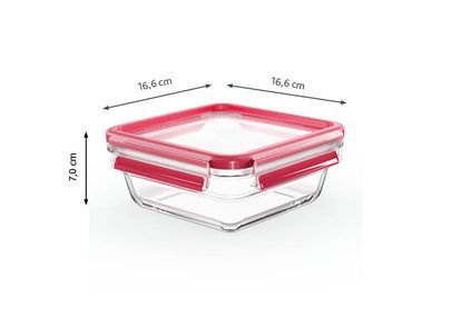 konteineri-sakvebis-minis-tefal-n1041410-photo-3