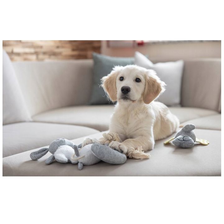 kerbl-lekvis-satamasho-photo-3