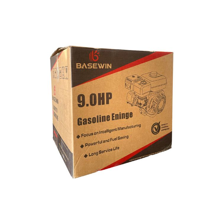 benzo-dzravi-el-gasaghebit-9tskhdz-basewin-photo-3