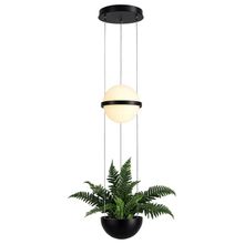 Product image of HX D323 2X6W 4000K დეკორატიული ჭაღი ქოთნის ჩასადებით