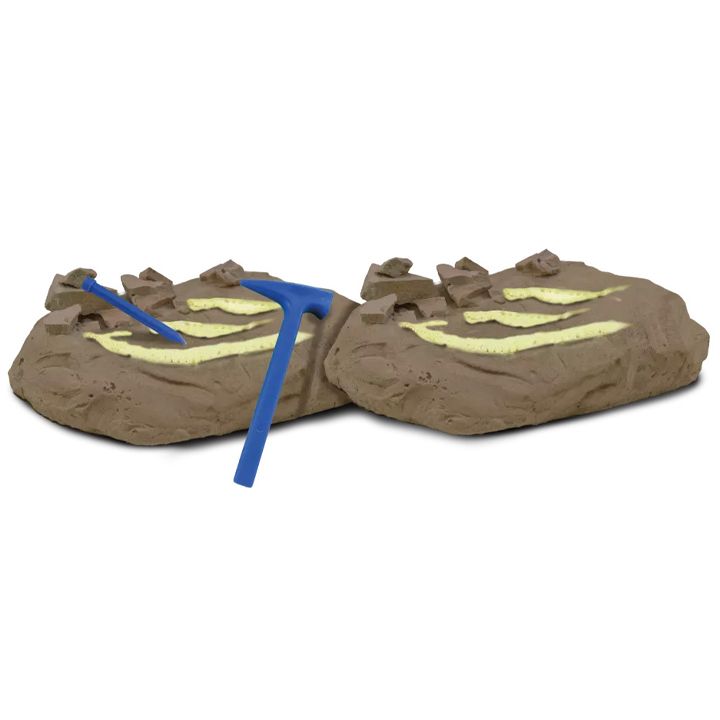 science4you-sametsniero-nakrebi-photo-4