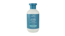 Product image of WELLA INVIGO B 300მლ ქერტლის საწინააღმდეგო შამპუნი