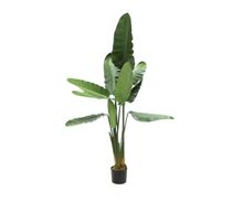 Product image of LABORATORY MY HOME ხელოვნური მცენარე