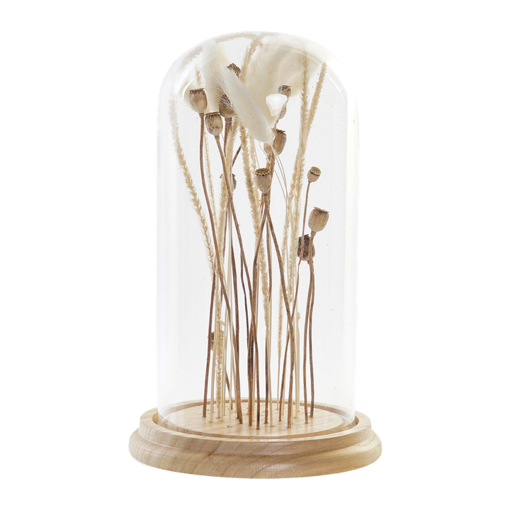 laboratory-my-home-khelovnuri-mtsenare