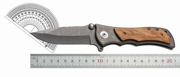 gasashleli-dana-photo-3