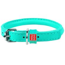 Product image of COLLAR ძაღლის საყელო