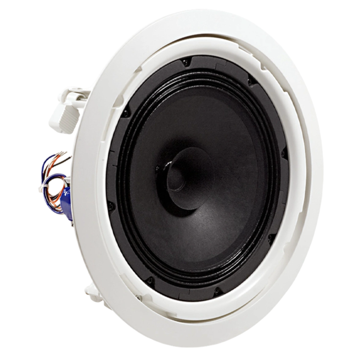 jbl-control-8128-cheris-dinamiki-photo-3