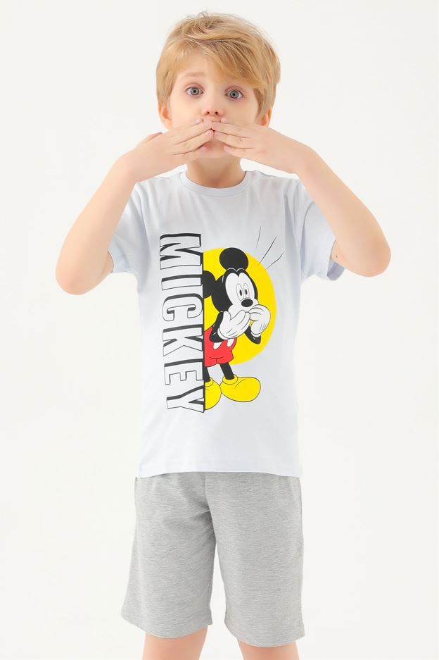 d4798-v2-bichis-maisuri-disnei-miki-mausi