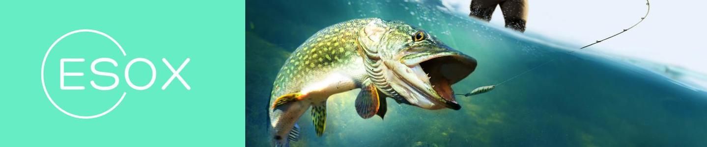 Cover photo of ESOX ესოქს