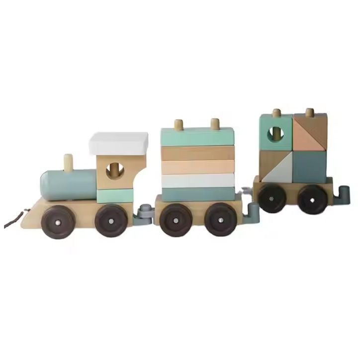 montessori-train-gansavitarebeli-satamasho-matarebeli
