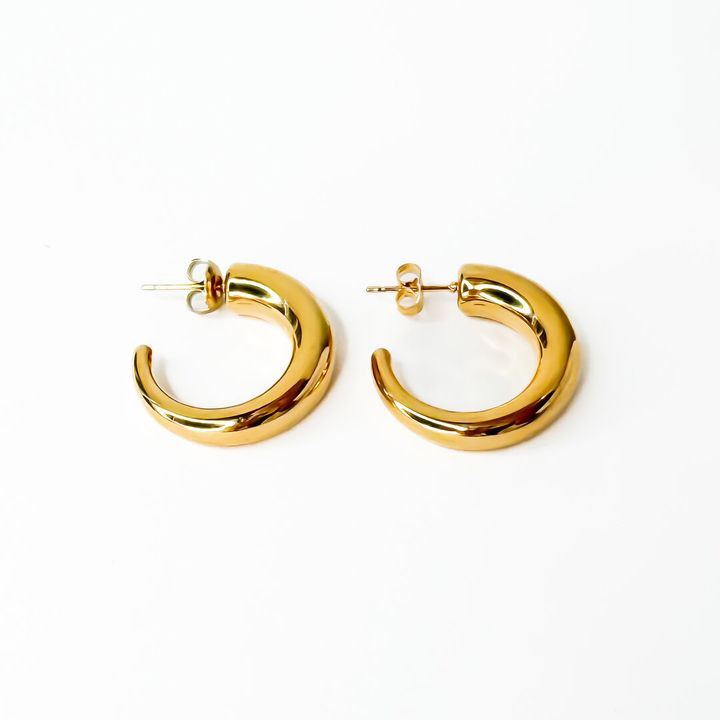 titanis-mooqrovili-rgoli-saqure