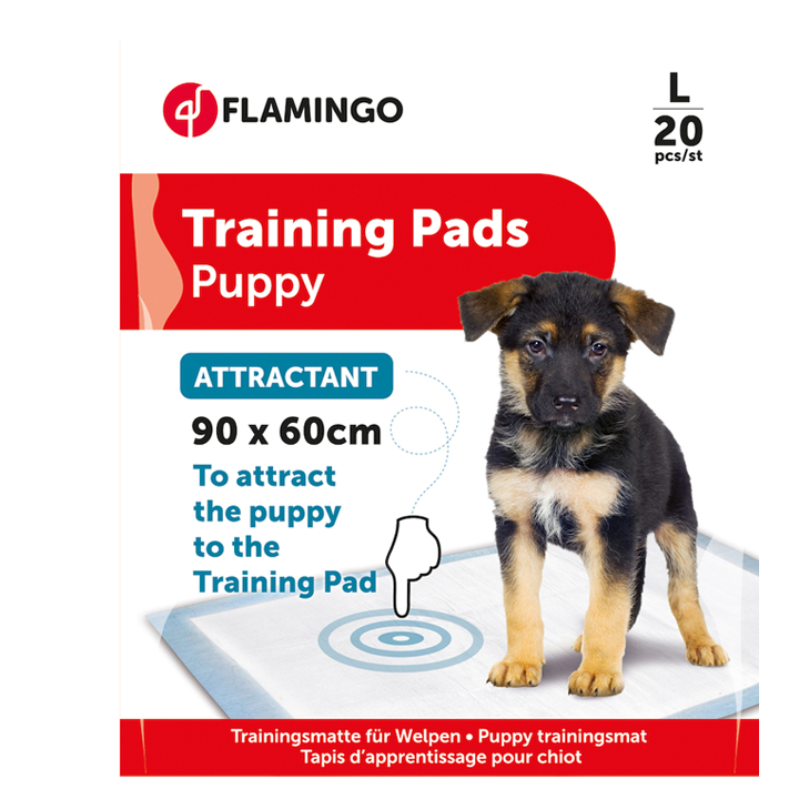 flamingo-satsrtvneli-safeni