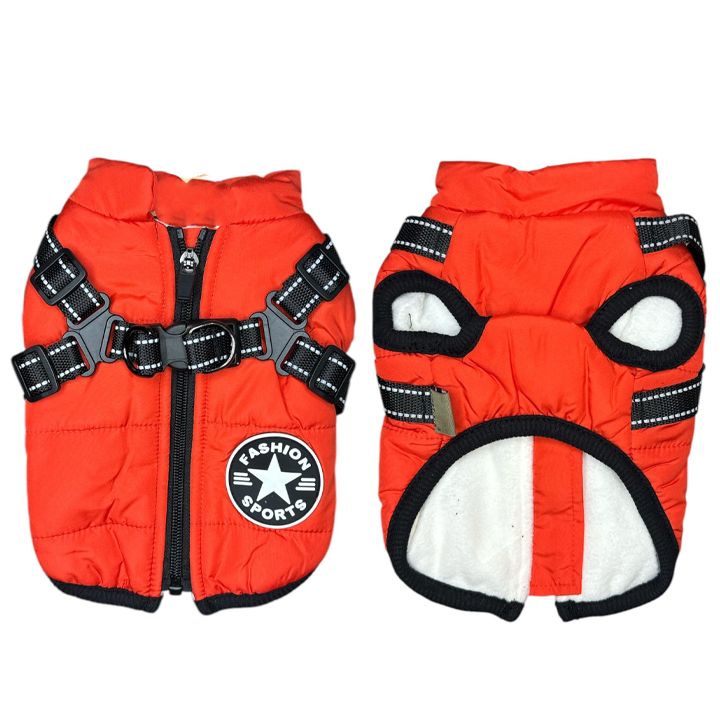 petsup-dzaghlis-katis-tansatsmeli