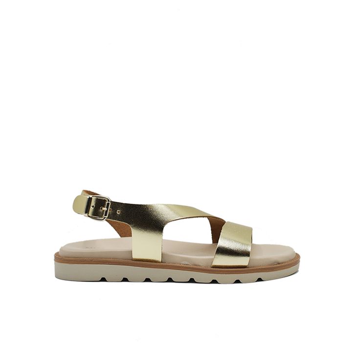 salamander-4971-sandali