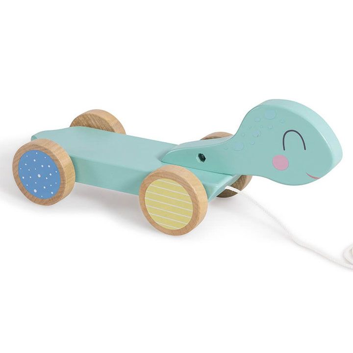 eureka-kids-walk--a-long-turtle-khis-satamasho-photo-4