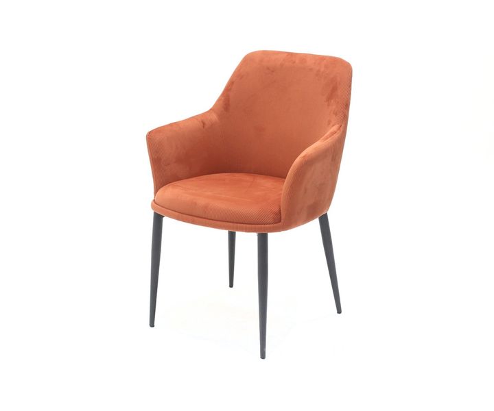 laboratory-my-home-savardzeli