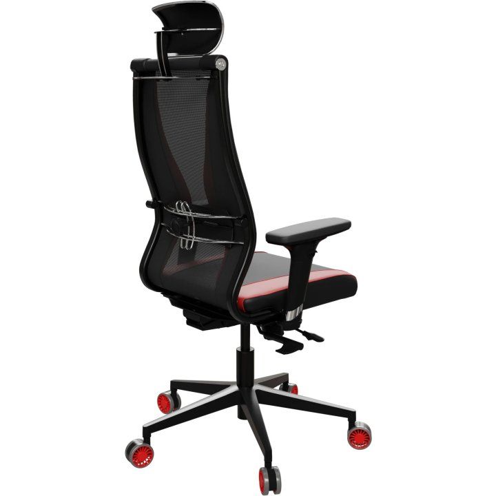 ergolife-synchrosit-10-b2-170d-geimeruli-savardzeli-photo-3