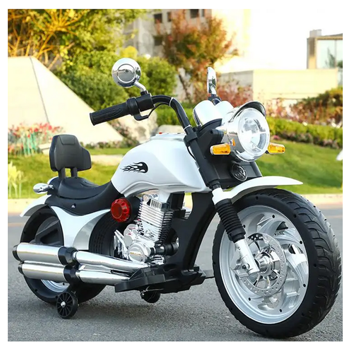 eleqtro-mototsikli-0001w-photo-2